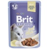 Brit kassitoit Premium Cat Pouch Jelly Fillets Beef, 85g