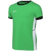 Nike Team T-särk lastele Dri-Fit Academy 25 SS roheline FZ9758 329 suurus XS
