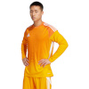 Adidas Teamwear T-särk Bramkarska meestele Tiro 25 Competition Long Sleeve Jersey oranž JM3536 suurus M