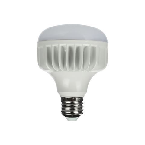 Studioking pirn LED Daylight Lamp 25W E27 FLED-25