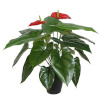 H4Y kunsttaim Anthurium, 45cm, roheline