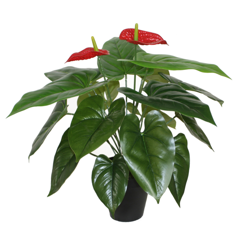 H4Y kunsttaim Anthurium, 45cm, roheline