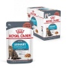 Royal Canin kassitoit Urinary Care, 12x85g