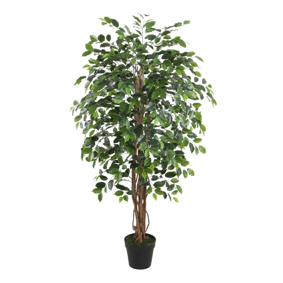 H4Y kunstpuu Wind Ficus, 150cm