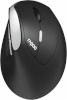 Rapoo juhtmevaba vertikaalne hiir EV250 Wireless Ergonomic Optical Mouse, must
