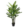 H4Y kunsttaim Wind Dieffenbachia, 150cm