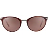 Serengeti naiste päikeseprillid 8966 54