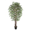 H4Y kunstpuu Wind Ficus, 210cm