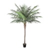 H4Y kunstpuu Wind Palm, 260cm