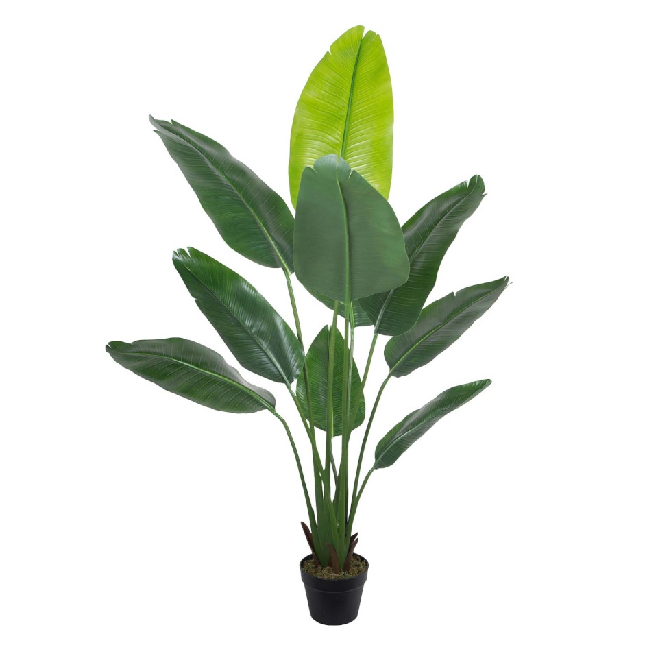 H4Y kunsttaim Wind Bird Of Paradise, 150cm