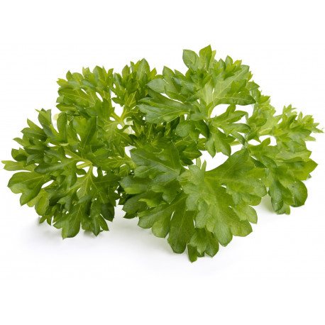 Click & Grow petersell Smart Garden Refill, 3tk