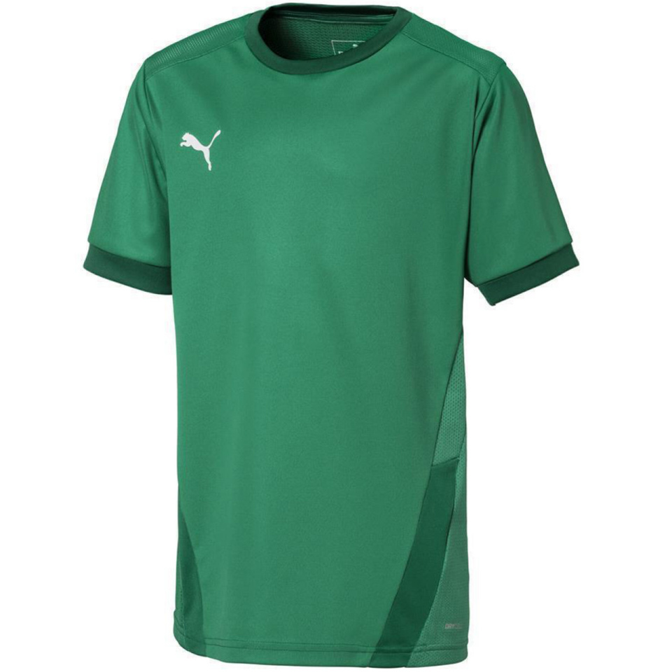 Puma T-särk lastele Teamgoal 23 Jersey roheline 704160 05 suurus 152cm