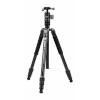 Fotopro statiiv X-go Chameleon E2 Tripod with FPH-52QP ball head