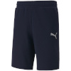 Lühikesed püksid Męskie Puma Teamgoal 23 Casuals Shorts tumesinine 656581 06 S