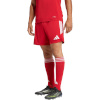 Lühikesed püksid meestele Adidas Tiro 26 League punane KA8791 S
