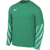 Nike Team T-särk meestele Dri-Fit Park V Stadium roheline HV8314 324 suurus M