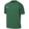 Nike Team T-särk meestele Dri-Fit Academy II roheline HV8160 302 suurus XL