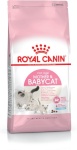 Royal Canin kuivtoit kassile Mother & Babycat, 2kg