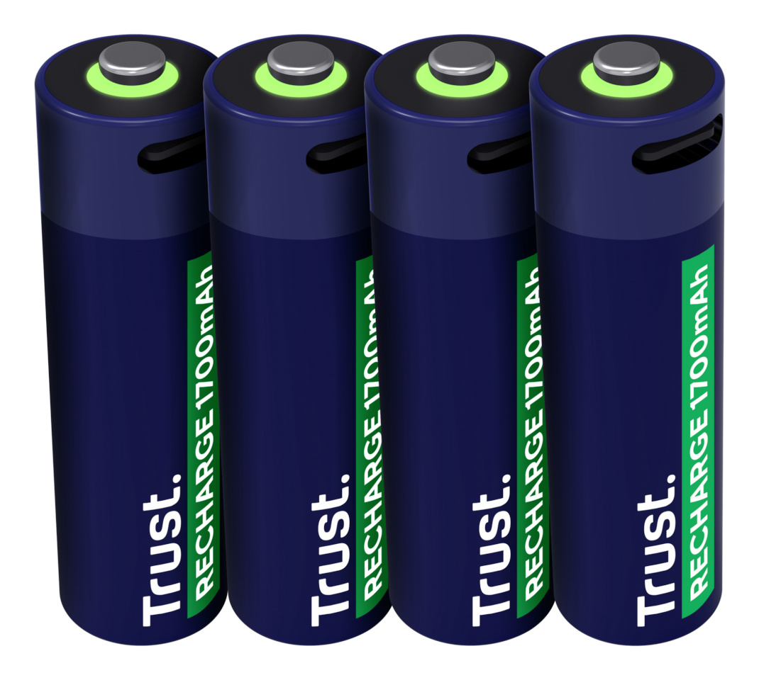 Trust patarei 25631 household battery Rechargeable battery AA