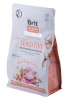 Brit kuivtoit kassile Care Grain-Free Sensitive Turkey&Salmon - Dry cat Food- 400 g