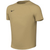 Nike Team T-särk lastele Dri-Fit Park Viii kuldne HV8182 729 suurus L