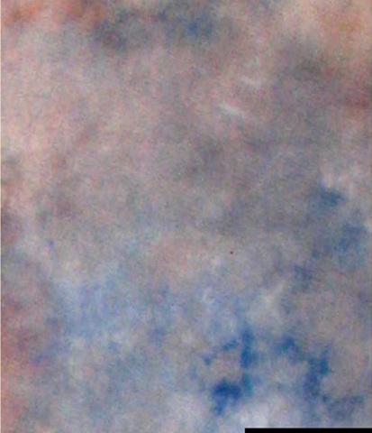 Falcon Eyes Background Cloth S122 2,9x7 m (2961122)